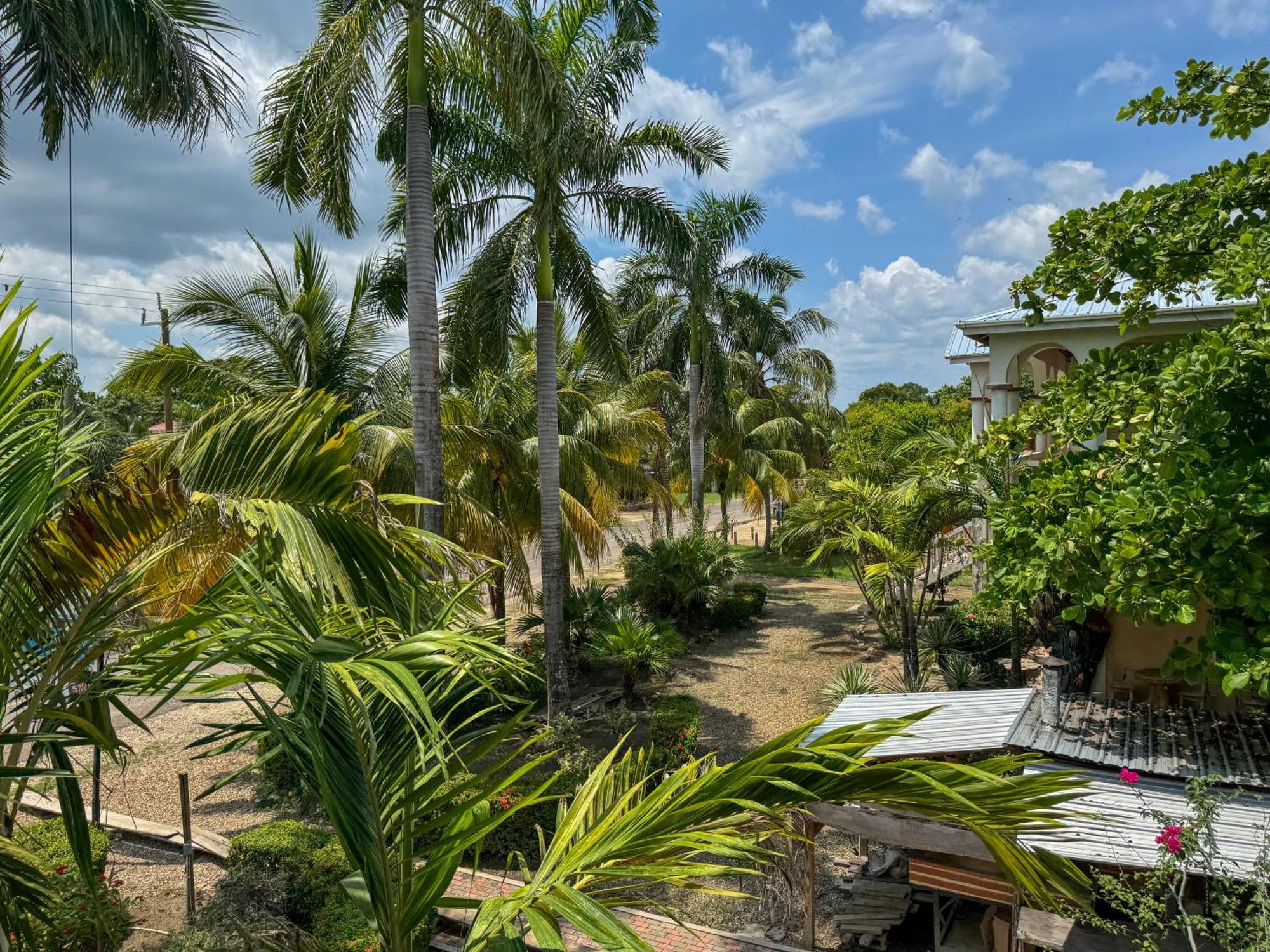 Caribbean Shores Belize Hopkins Kültér fotó